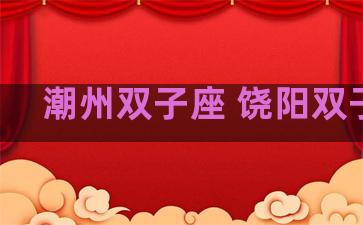 潮州双子座 饶阳双子座